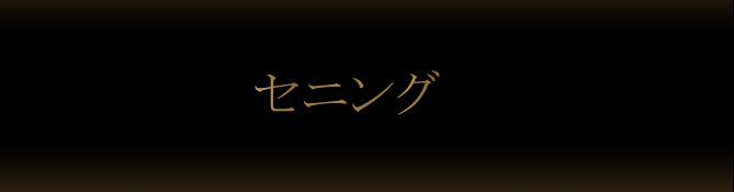 はさみのルミエール　セニング